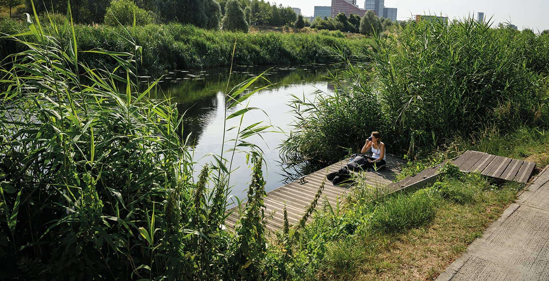 Sitting By the River