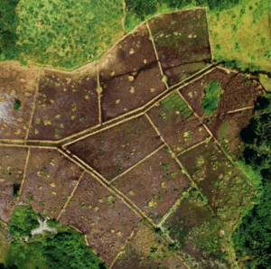 Biodiversity Net Gain Units For Sale and Land Opportunities