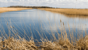 Off-Site Biodiversity Net Gain Solutions