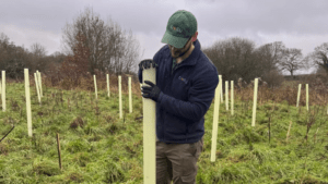 Biodiversity Net Gain Maintenance Period
