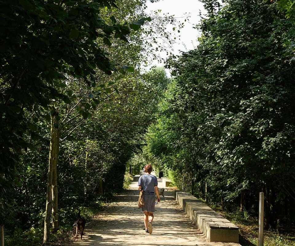 Walking In The Park