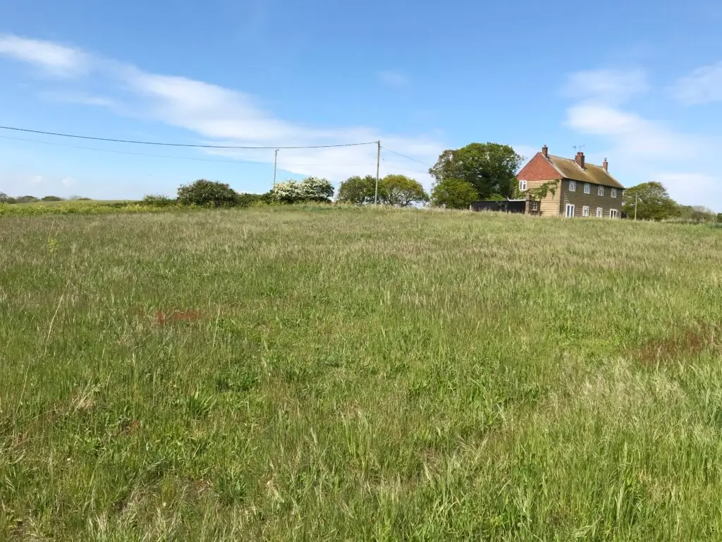 AM Farm