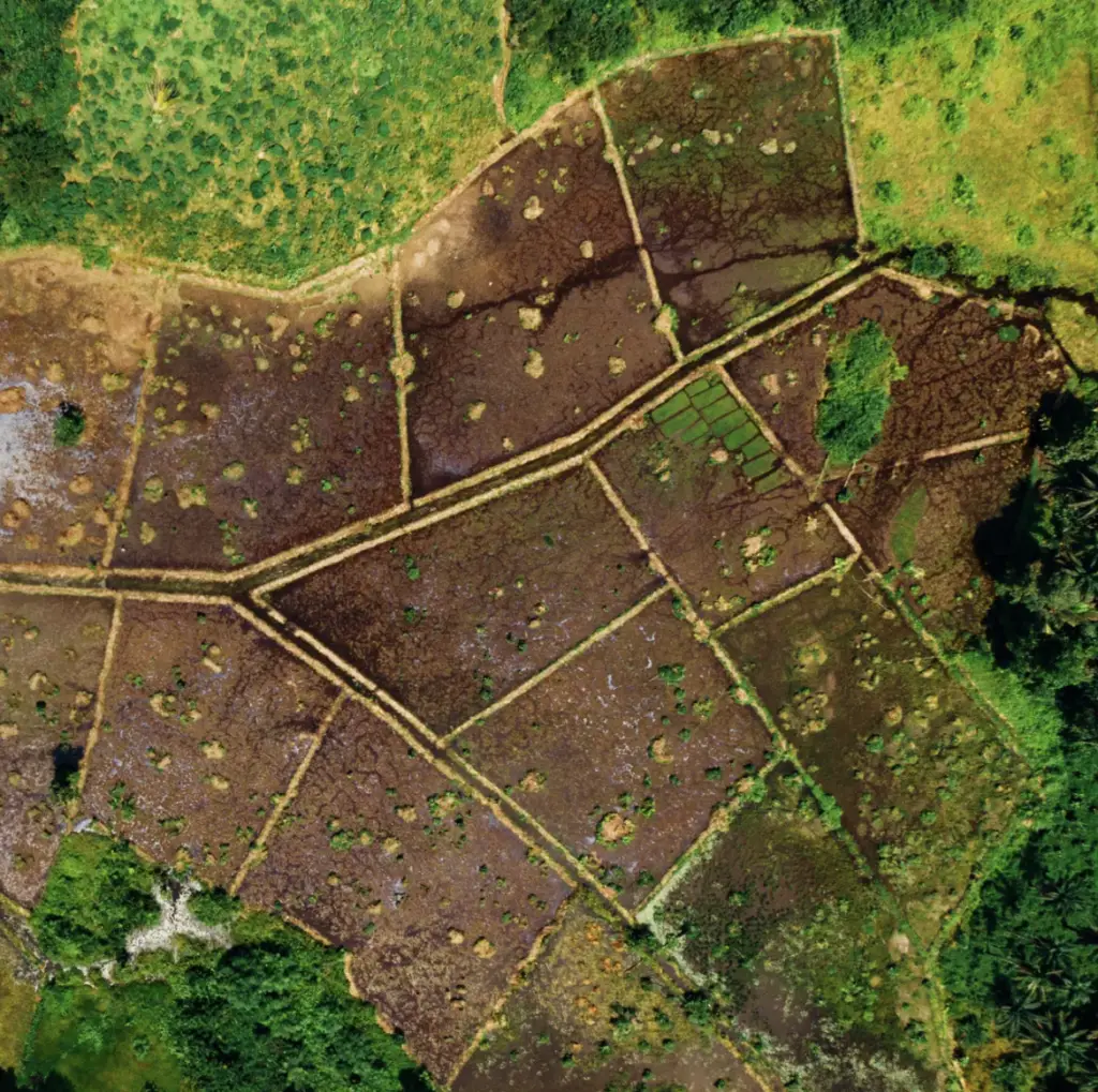 Biodiversity Net Gain Units For Sale and Land Opportunities