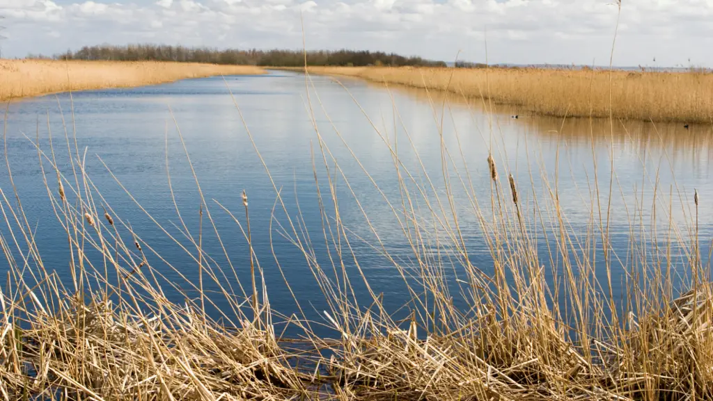 Off-Site Biodiversity Net Gain Solutions