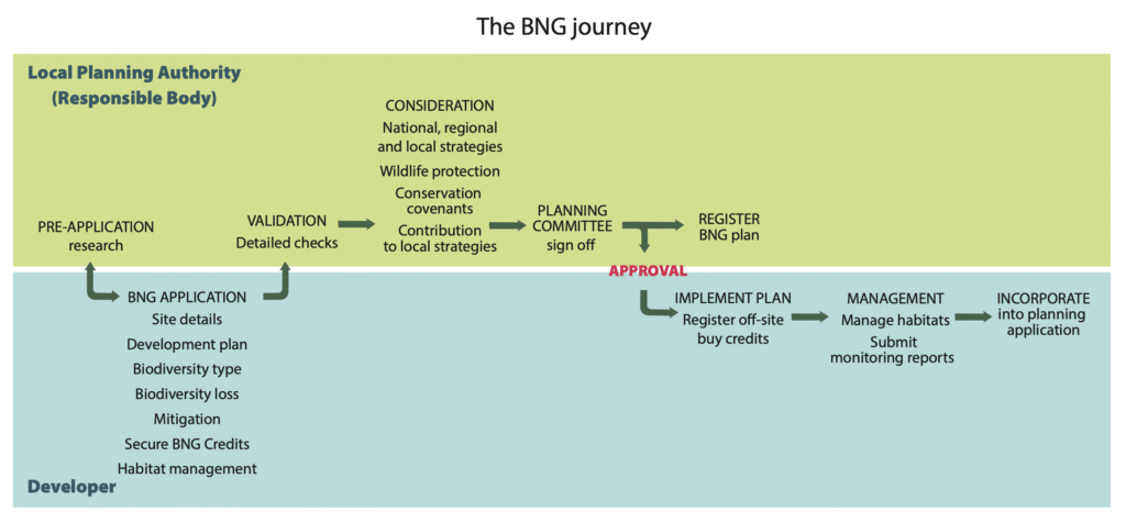 Biodiversity Net Gain Journey