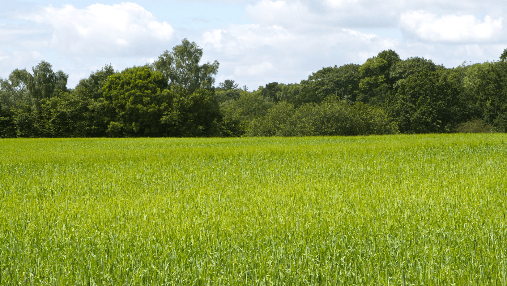 What is additionality in BNG? Income stacking and eligibility explained.