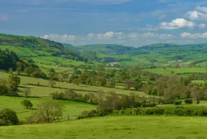 Biodiversity Net Gain: What Landowners Need to Know About the New Legal Landscape