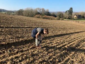 prepare your land for BNG