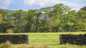 Biodiversity Gain Site Register: Key Facts for Landowners and Developers