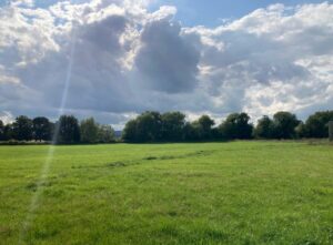 How to Buy BNG Units: A Step-by-Step Guide