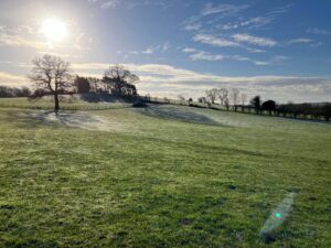 Is Your Site Eligible For A BNG Exemption? A Checklist Based On Latest Regulations