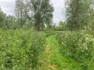 The UK’s BNG Legislation: Key Facts and 2025 Updates